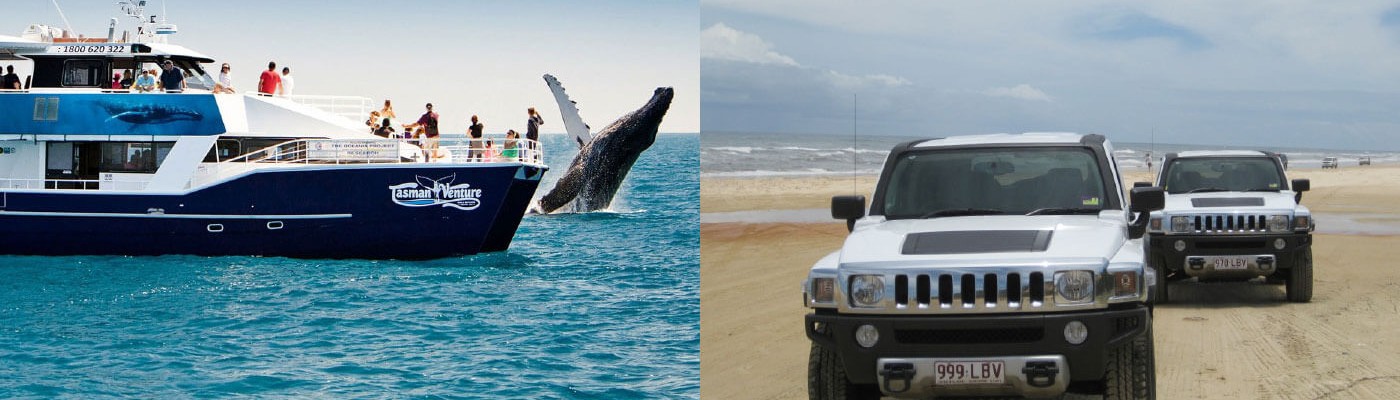 Fraser Island Hummer & Whales Package
