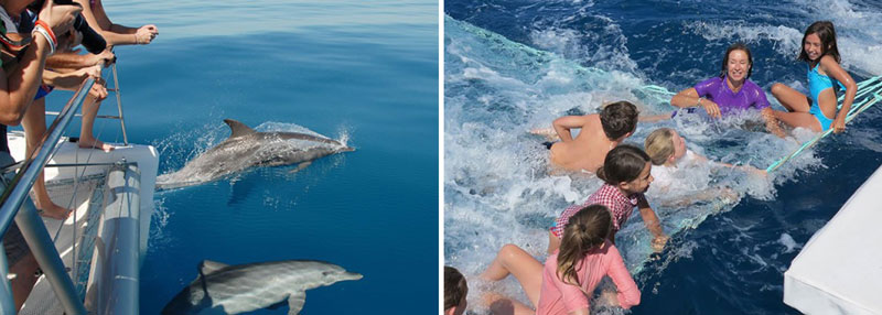 blue dolphin fraser island sailing tour